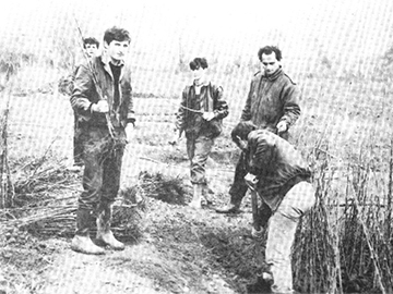 Историјат